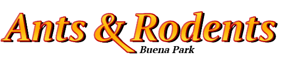 Buena Park Ant Exterminator & Rodent Control Company Logo